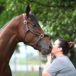 A Day in the Life of a Kentucky Derby Horse